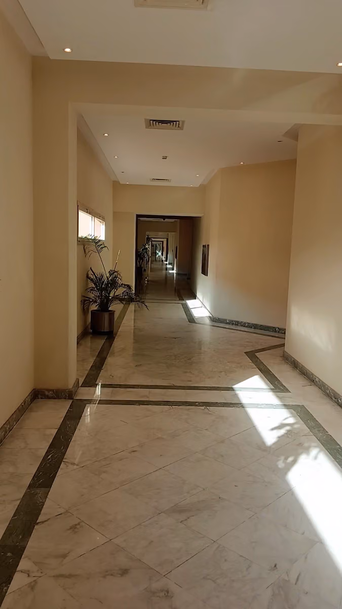 الطيران العماني