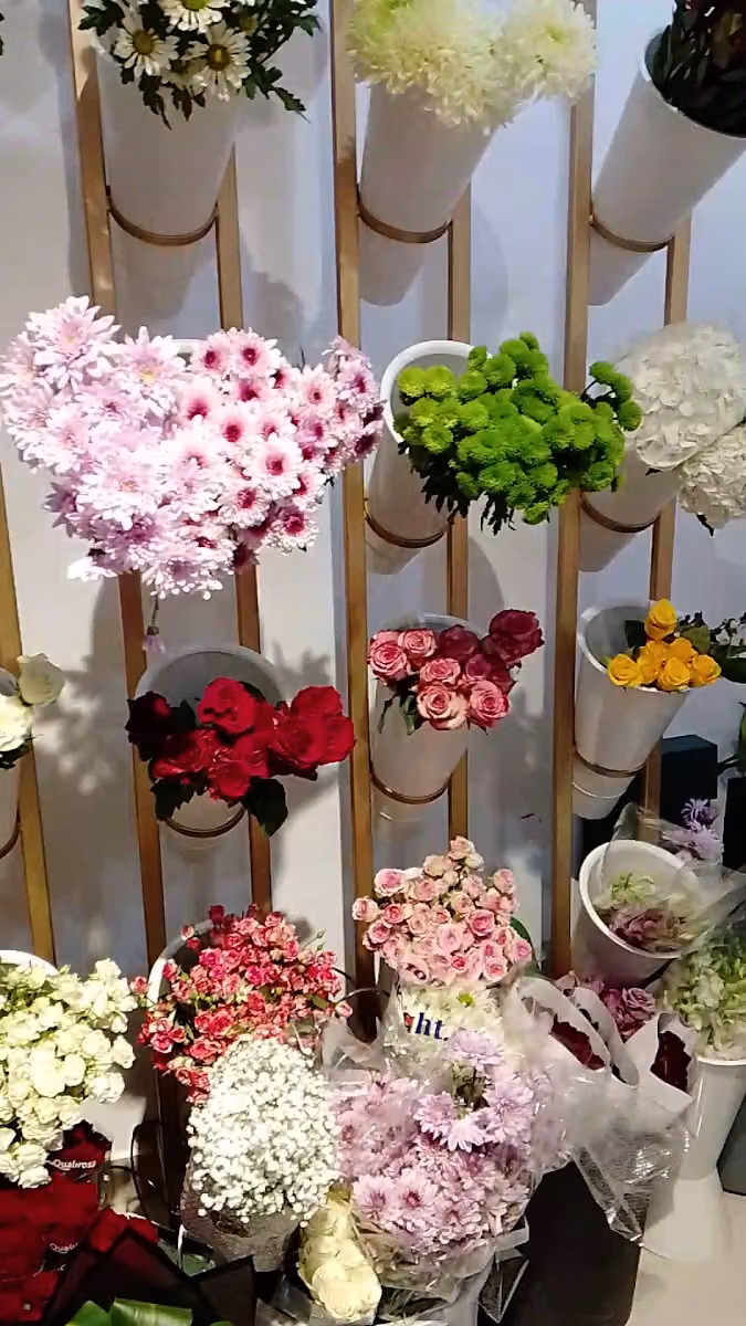 الزهرة النقية | Flower Pure