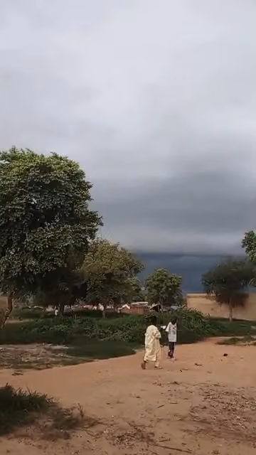 انقورا للسجاد والموكيت