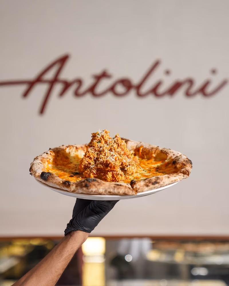Antolini انتوليني