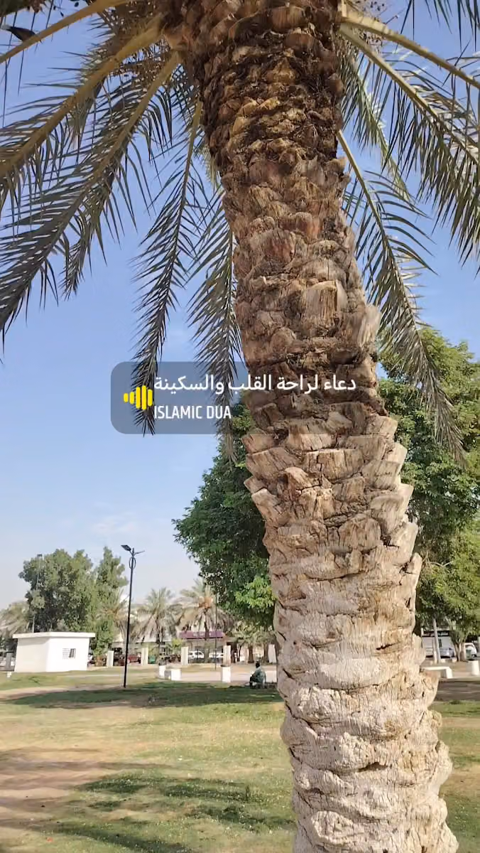 Arabian Mills