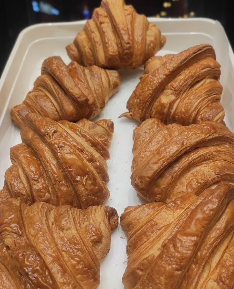 ارابيكا كافيه