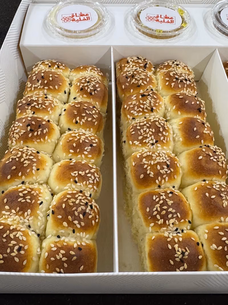 عشاق الخليه