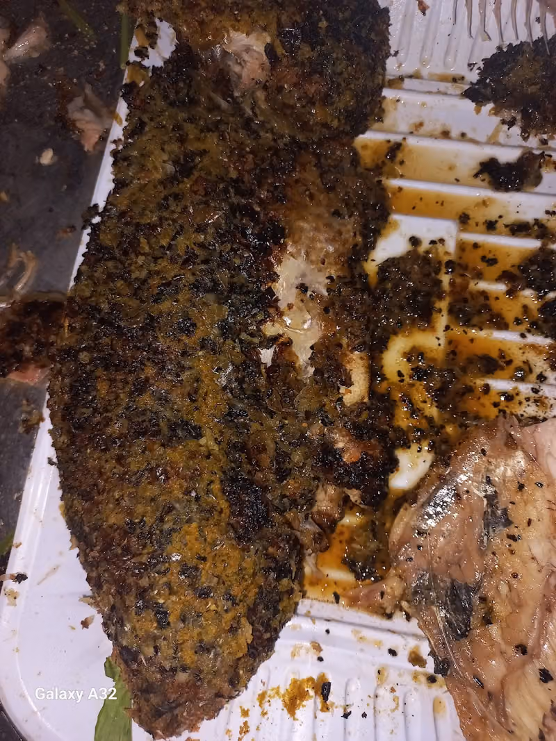 أسماك العجمي