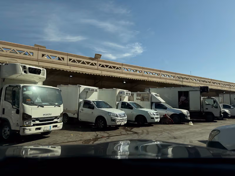 أسماك الأمجاد الطازجة