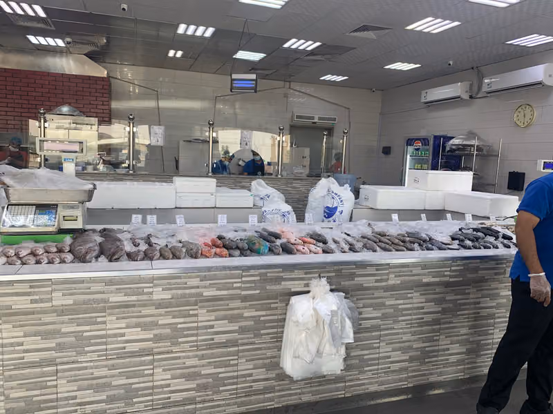 اسماك الهتان للمأكولات البحرية