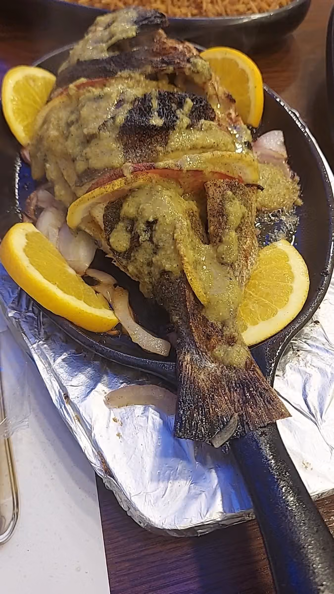 أسماك الزيتون