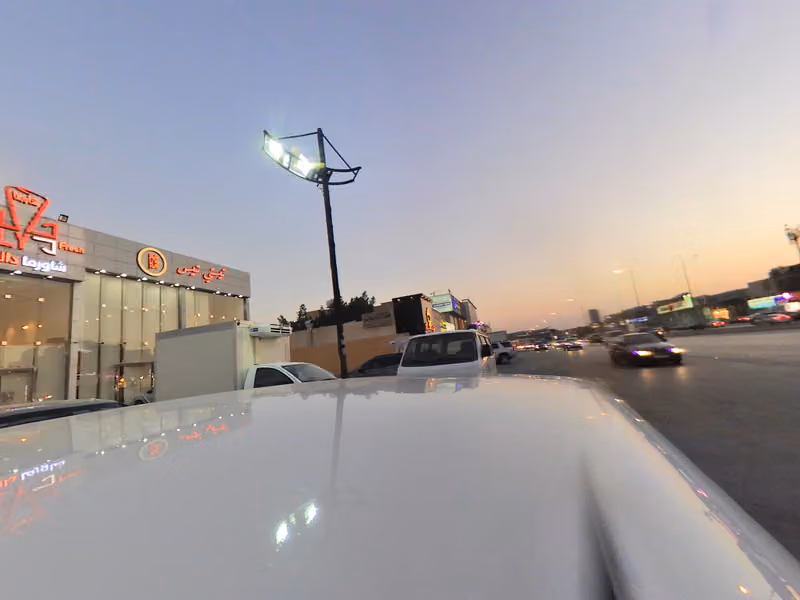 أسماك الزيتون