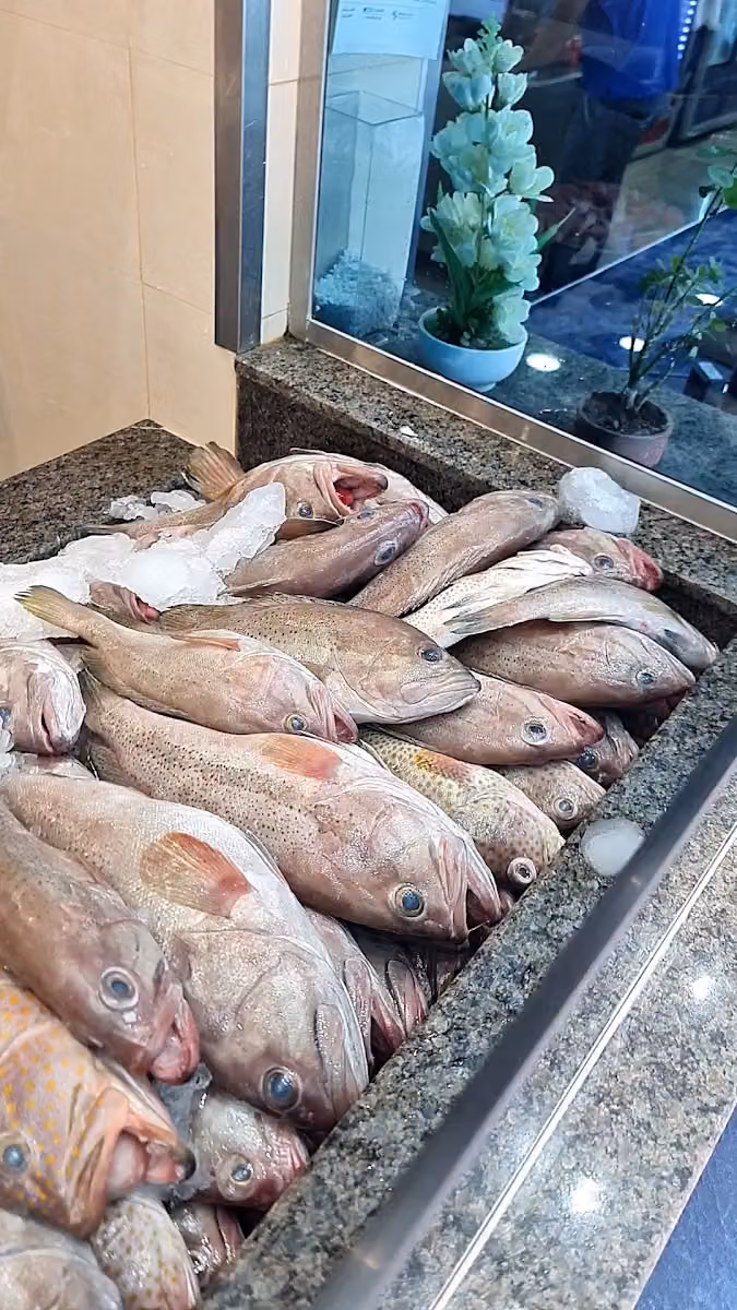 أسماك دلة