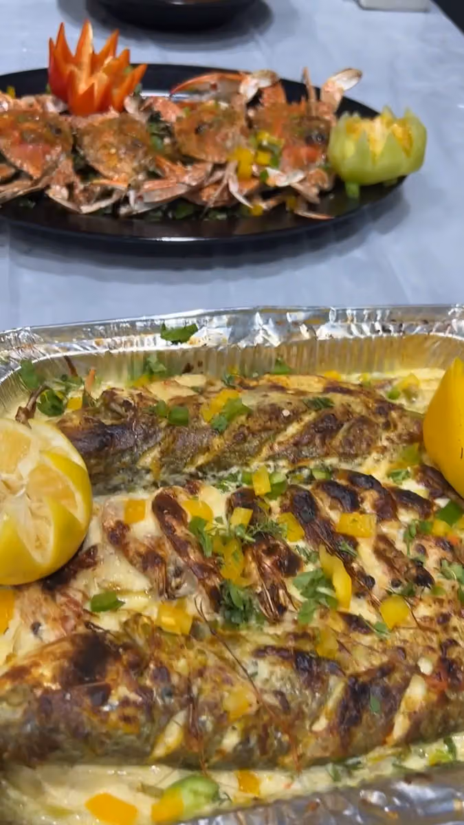 اسماك دلمون Delmon Fish