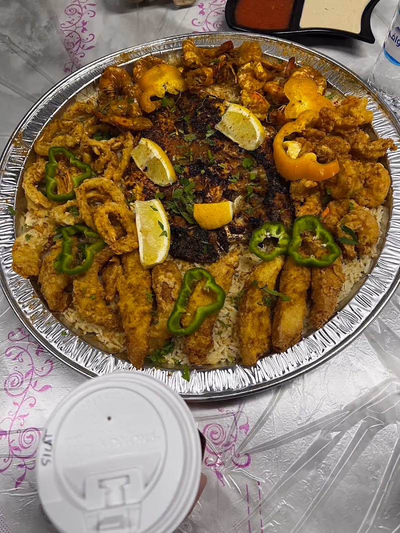 اسماك دلمون Delmon Fish