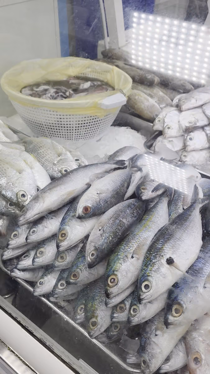 Khalifa Fisheries