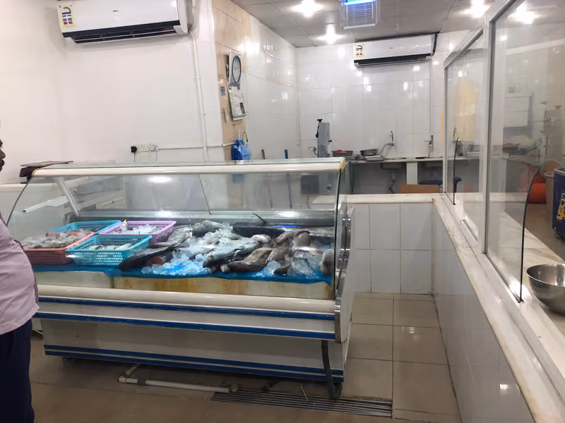 أسماك سنارة الجواد fresh fish