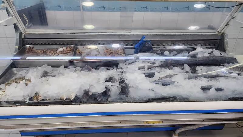 أسماك طوائف البحار