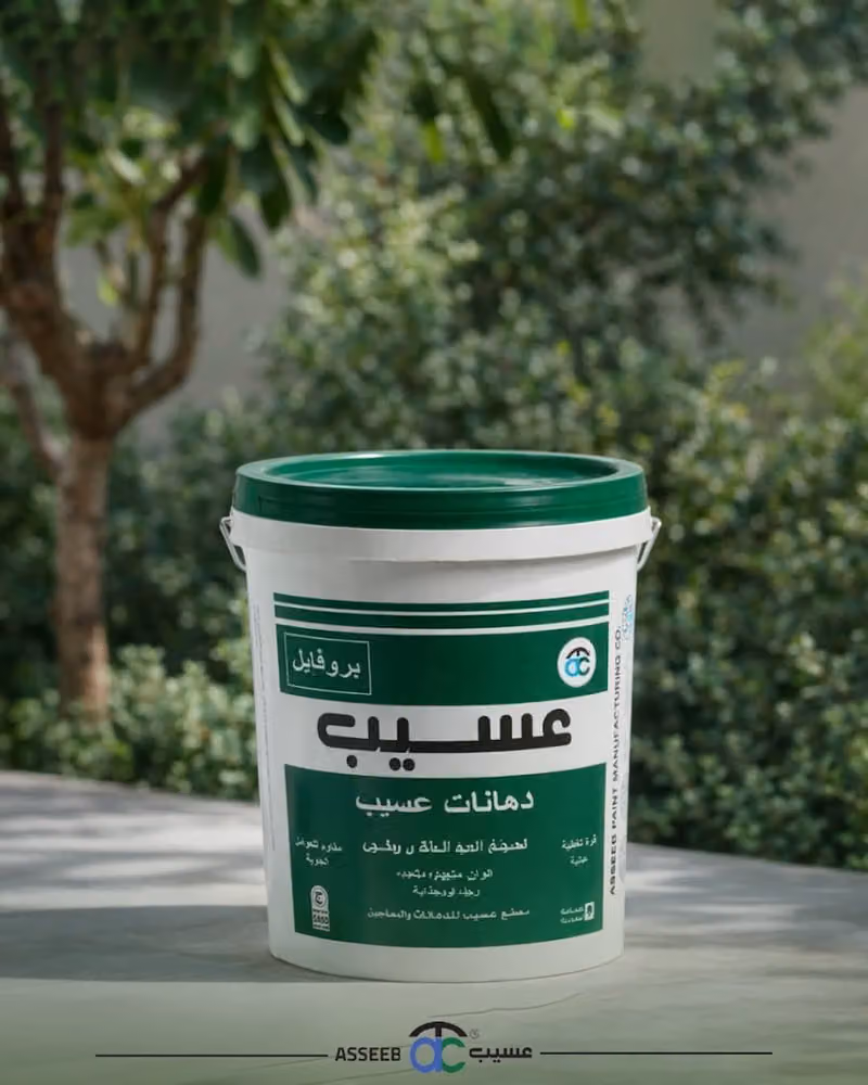 ASSEER PAINTS