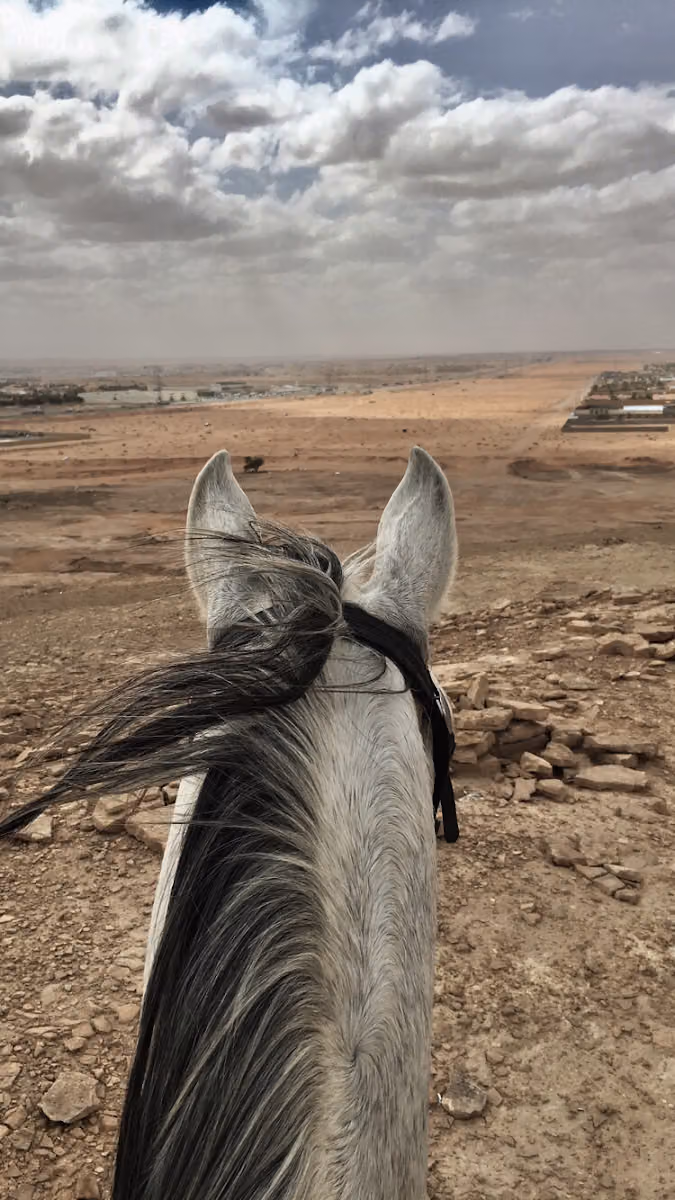اسطبل أهل الخيل