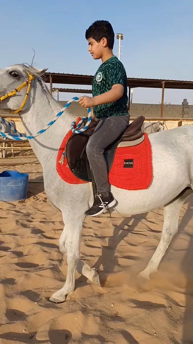 اسطبلات الجنادرية
