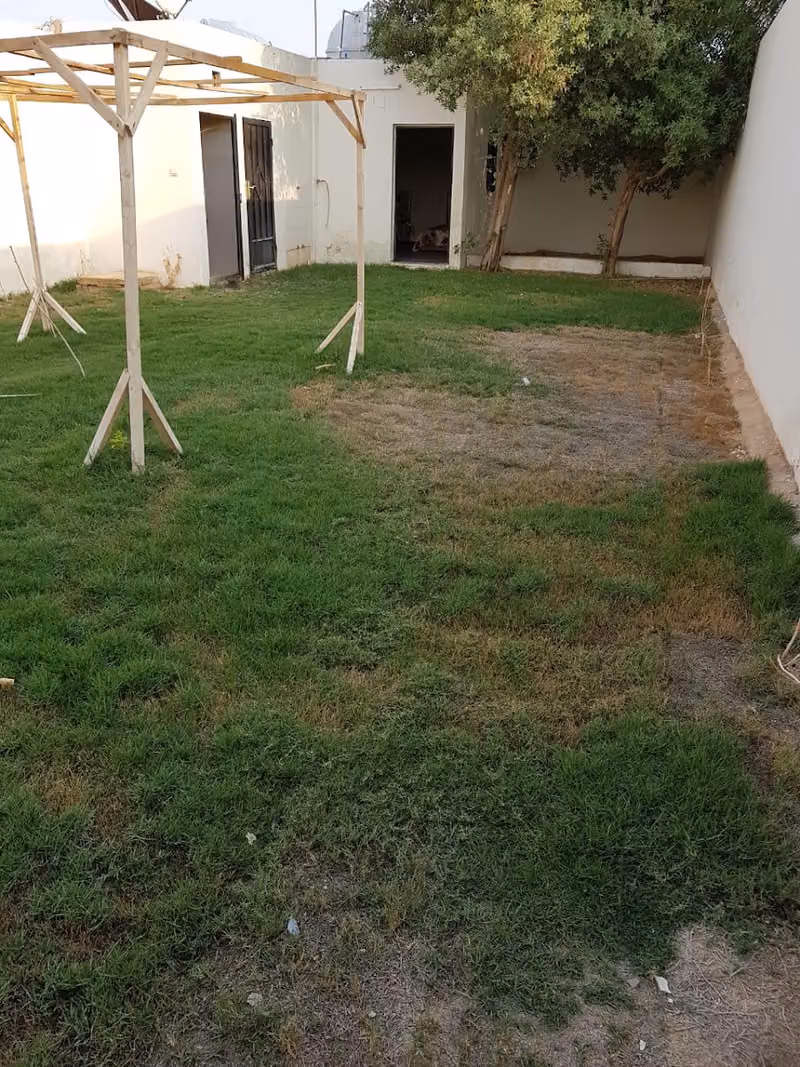 استراحات نوف