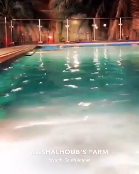 استراحة أبو ناصر- بنبان