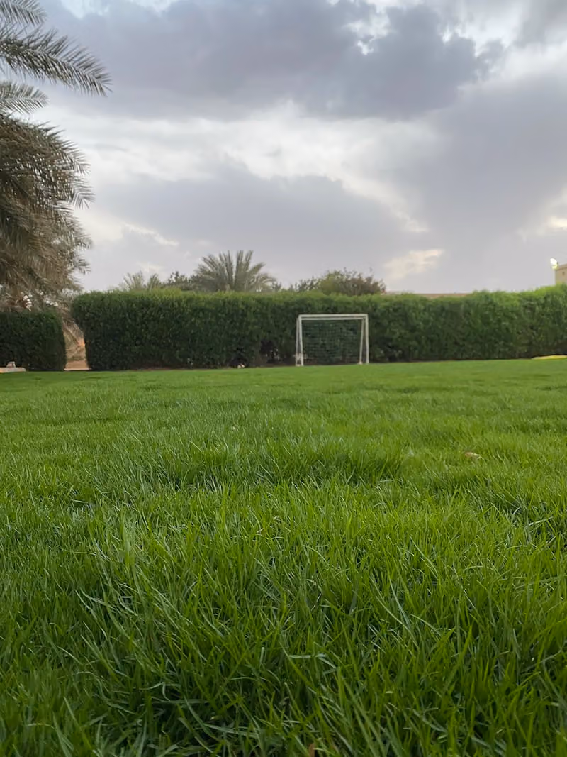 استراحة أبو ناصر- بنبان