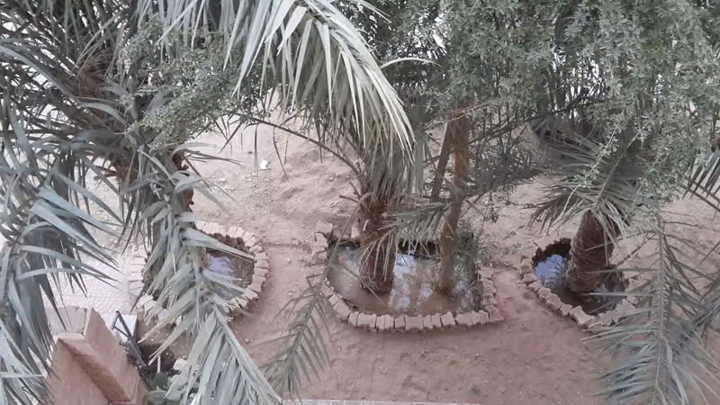استراحة المطل