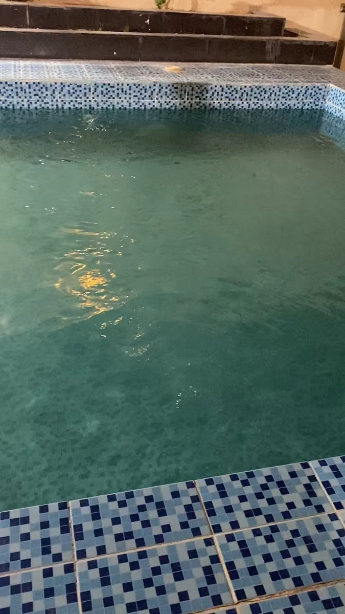 استراحة النخيل