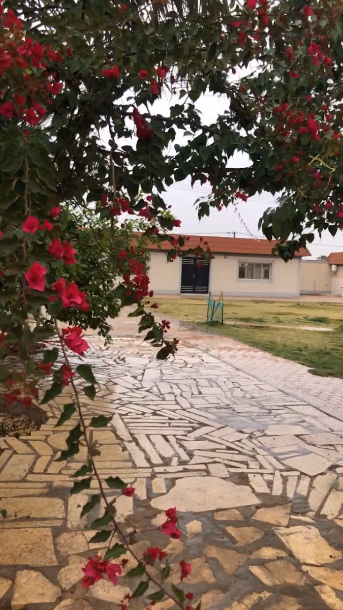 استراحة السويد