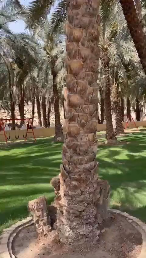 استراحة ومزرعة الأصالة