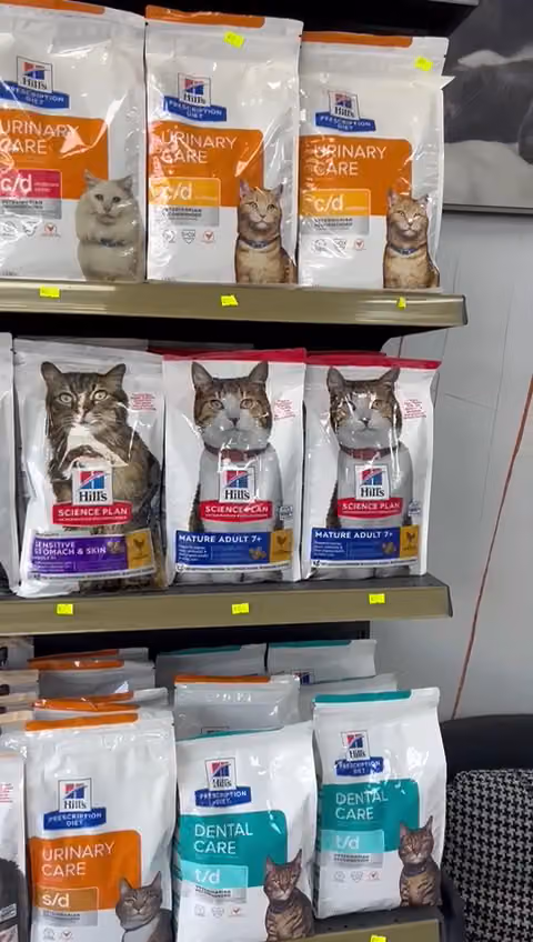 “AVC” Aman Veterinary Clinic عياده أمان دلتا البيطريه AVC