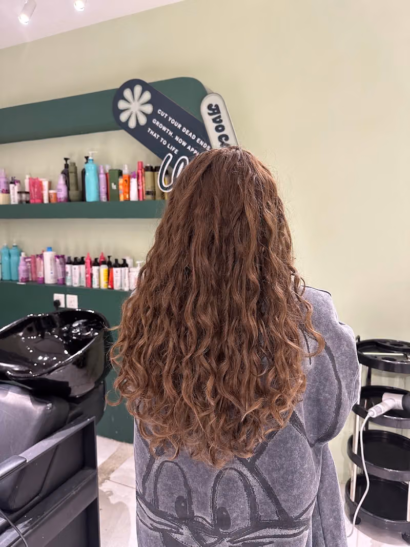 AVO CURL - Curly Hair Salon
