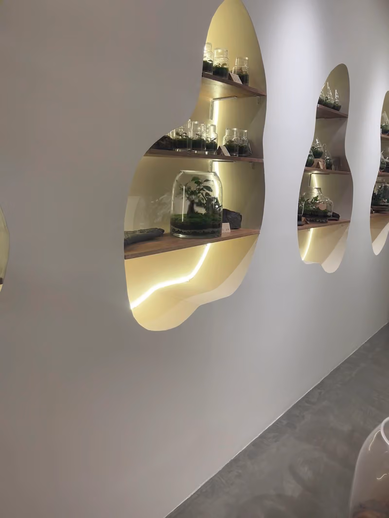 اوراد للنباتات