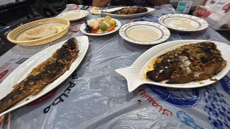 أويو رومز 158