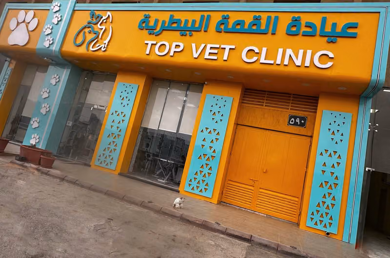 عيادة القمة التخصصي البيطرية | Top Vet Clinic