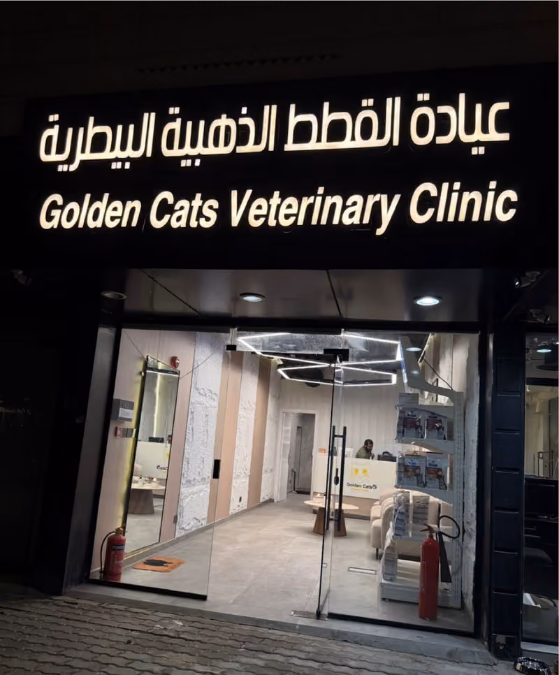 عيادة القطط الذهبية البيطرية