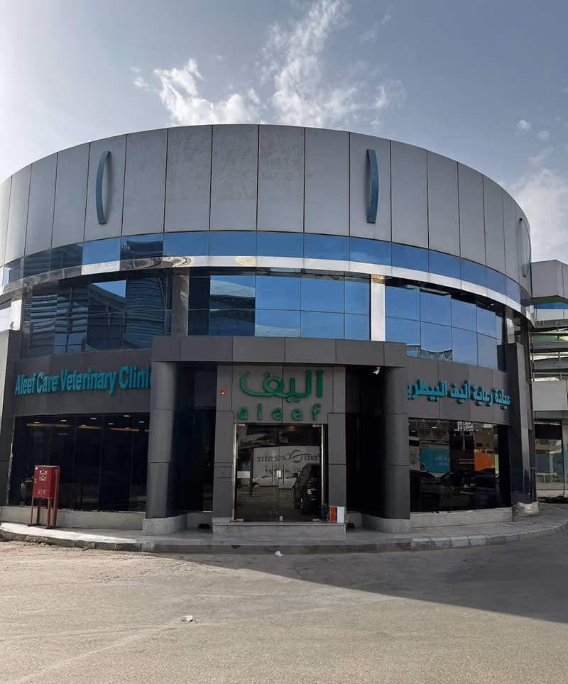عيادة اليف البيطرية