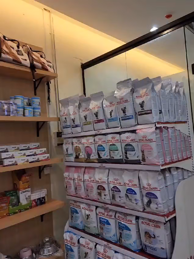 عيادة أليف المستقبل البيطرية future pet veterinary clinic