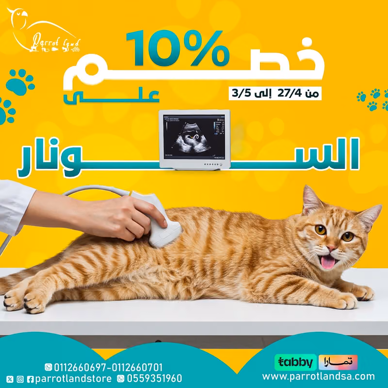 عيادة أرض الببغاء البيطرية التخصصية