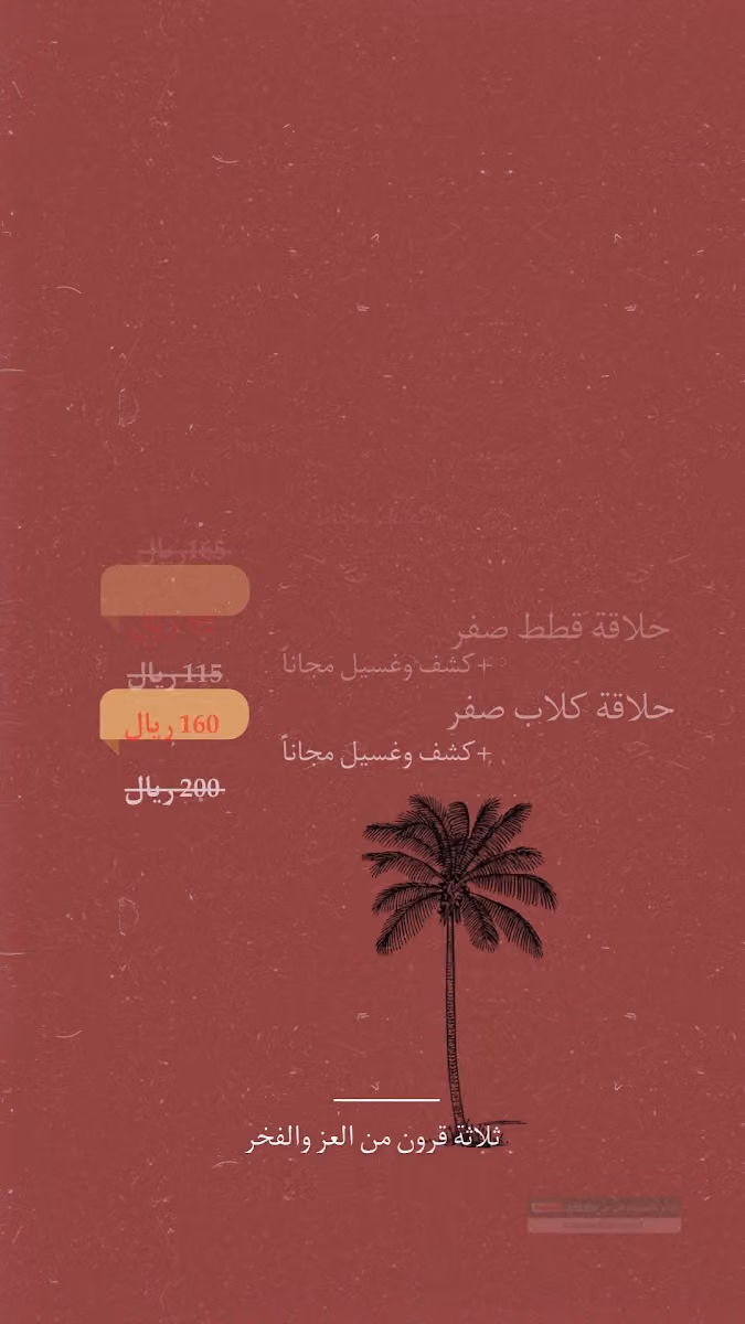 عيادة أرض الببغاء البيطرية التخصصية