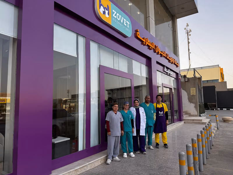 عيادة اولويات الحيوان البيطرية ZOVET CLINIC