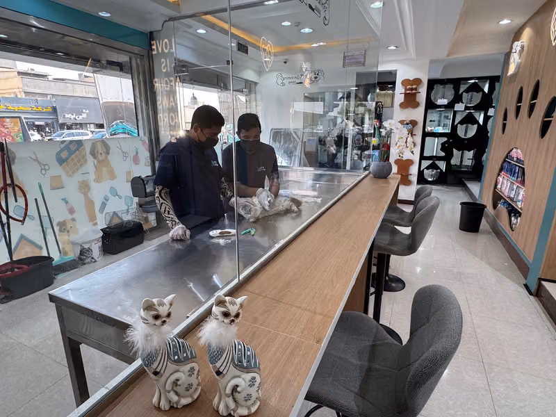 عيادة بيت الحيوان البيطرية