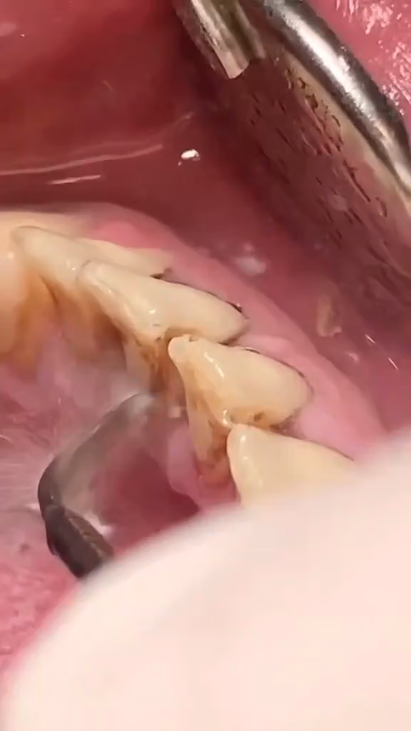 عيادة د ياسر حامد لطب وتجميل الأسنان