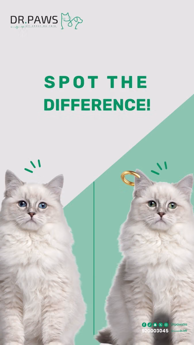 عيادة دكتور باوز البيطرية Dr Paws Veterinary Clinic