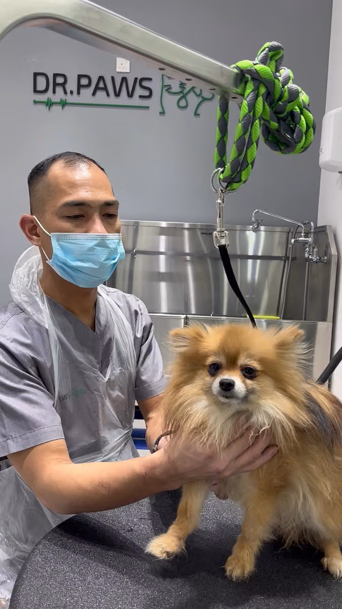 عيادة دكتور باوز البيطرية Dr Paws Veterinary Clinic