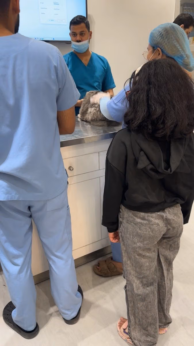 عيادة لانا البيطرية Lana Veterinary clinic
