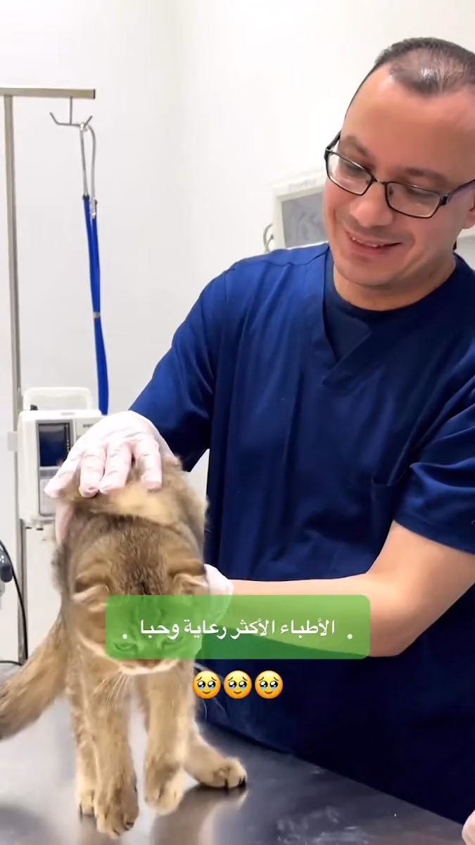 عيادة لانا البيطرية Lana Veterinary clinic