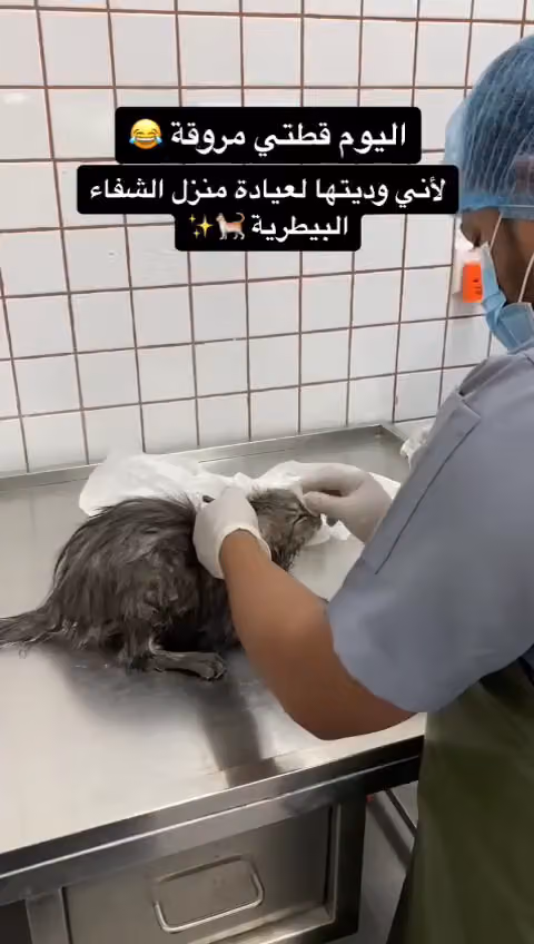 عيادة منزل الشفاء البيطرية