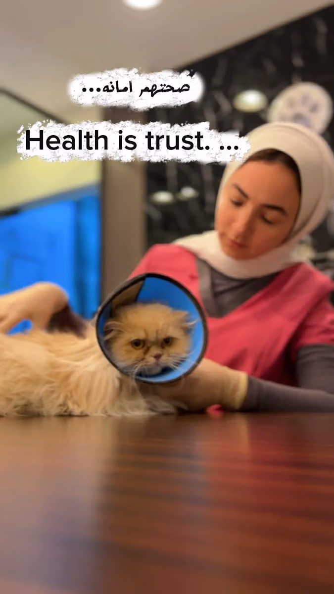 عيادة مزايا البيطرية - mazaya pet clinic