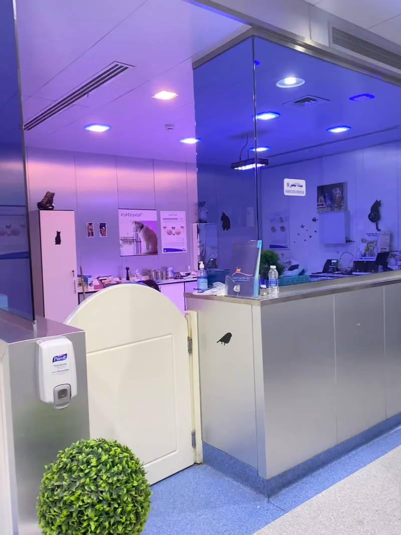 عيادة رعاية الحيوان - Animal Welfare Clinic