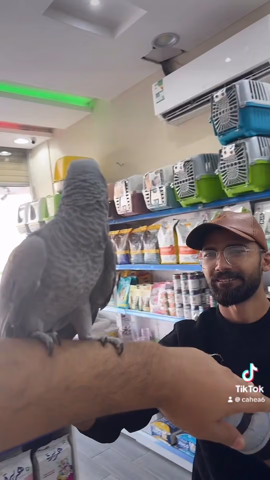 عيادة رعاية وصحة اليف البيطرية Care and healthy pet clinic