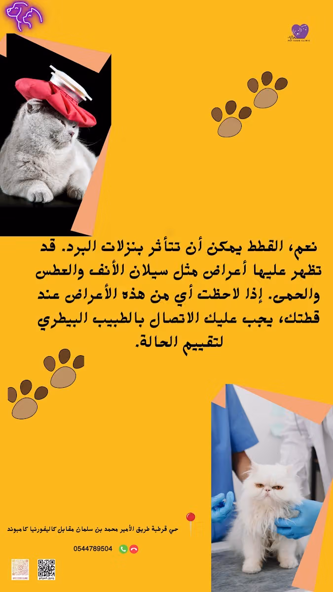 عيادة رمز أليف البيطرية